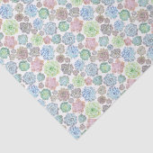 Papier de soie de soie de Succulents (Détail)