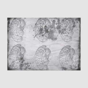 Papier de soie de soie délabré de Brainz 10" x 15"