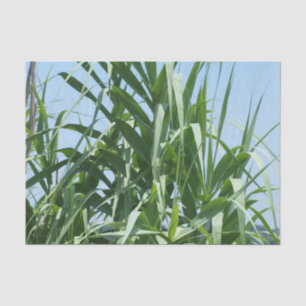 Papier de soie de soie fait sur commande