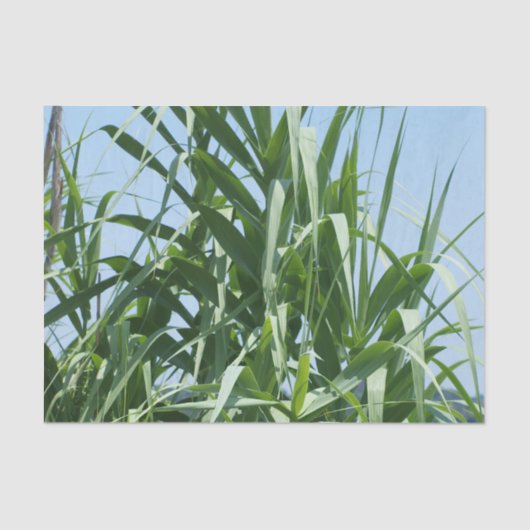 Papier de soie de soie fait sur commande (Recto)