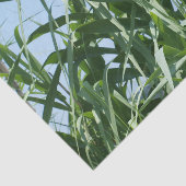 Papier de soie de soie fait sur commande (Détail)