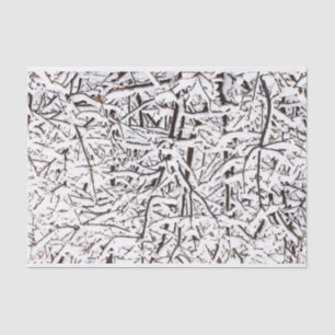 Papier de soie de soie hivernal d'arbres de Milou