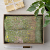 Papier de soie de soie islandais de poulain de (Cadeau)