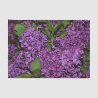 Papier de soie de soie lilas