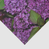 Papier de soie de soie lilas (Détail)