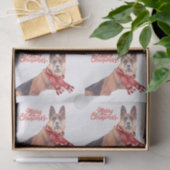 Papier de soie de soie magnifique de vacances de (Cadeau)