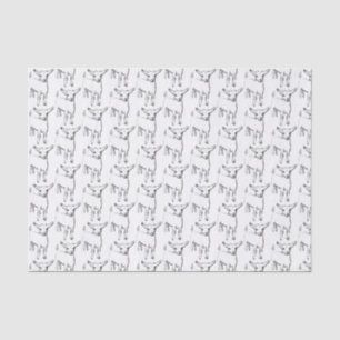Papier de soie de soie mignon d'enfant de chèvre
