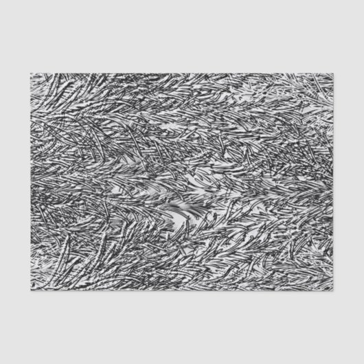 Papier de soie de soie noir et blanc de (Recto)