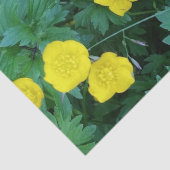 Papier de soie de soie orienté de renoncule (Détail)