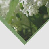 Papier de soie de soie pour vous cadeau spécial (Détail)