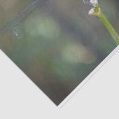 Papier de soie de soie rêveur de libellule (Détail)