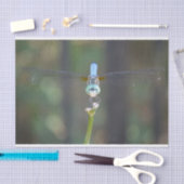 Papier de soie de soie rêveur de libellule (Artisanat)