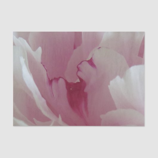 Papier de soie de soie rose de fleur (Recto)