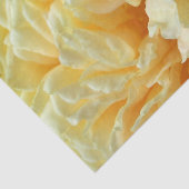 Papier de soie de soie rose d'ivoire (Détail)