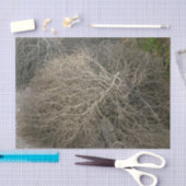 Papier de soie de soie rustique d'amarante (Artisanat)