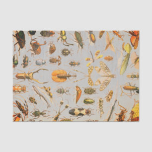 Papier de soie de soie TRÈS FRAIS d'INSECTE