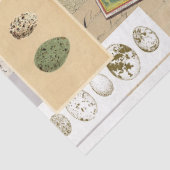 Papier de soie découpage style collage (Détail)