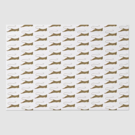 Papier de soie dessin Stingray vintage (Recto)
