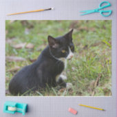Papier de soie en forme de chat (Artisanat)