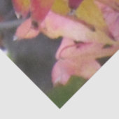 Papier de soie - Feuilles d'automne (Détail)