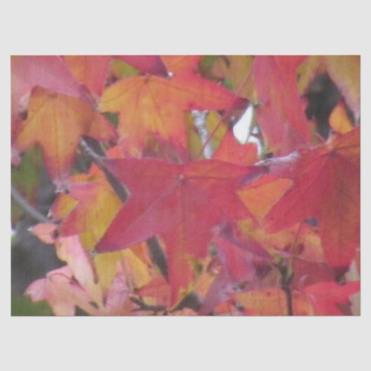 Papier de soie - Feuilles d'automne (Recto)