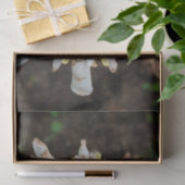 Papier de soie fleur de gingembre torche blanche h (Cadeau)