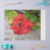 papier de soie fleur rouge (Artisanat)