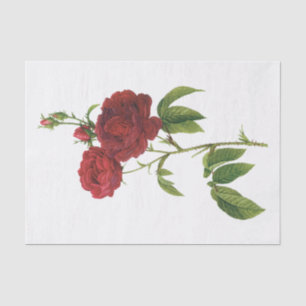 Papier de soie floral Fleurs Roses rouges vintage 
