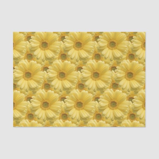 Papier de soie floral Jaune Daisy Marguerites (Recto)