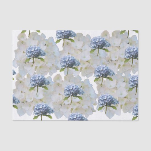 Papier de soie hydrangea bleu poussiéreux (Recto)