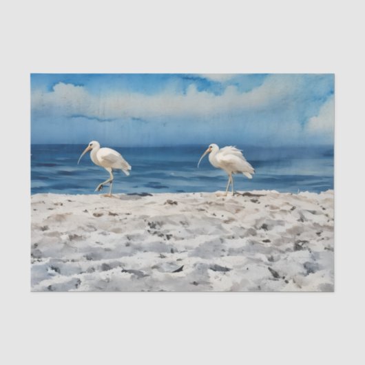 Papier de soie Oiseaux sur la plage (Recto)