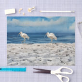 Papier de soie Oiseaux sur la plage (Artisanat)