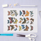 Papier de soie papillon découpage (Artisanat)