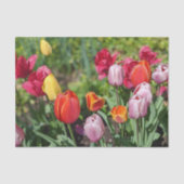 Papier de soie photo de tulipes (Recto)