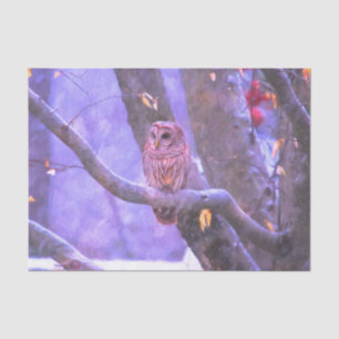 Papier de soie pour chouette effraie d'hiver