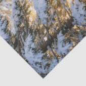 Papier de soie premium Forest Sunlight (21″ × 29″) (Détail)