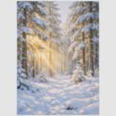 Papier de soie premium Forest Sunlight (21″ × 29″) (Recto)