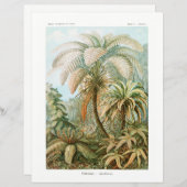 Papier de tissu Ernst Haeckel Palm Tree (Devant / Derrière)