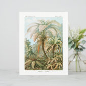Papier de tissu Ernst Haeckel Palm Tree (Debout devant)
