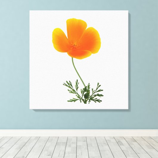 papier de toile orange (Insitu (Plancher de Bois))