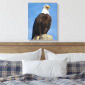 Papier de toile Portrait de l'aigle chaulé (Insitu(Chambre))