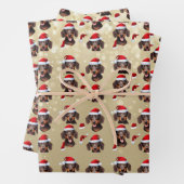 Papier de vacances Mini Dachshund (En situation)