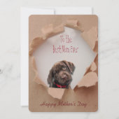 Papier déchiré Brown Chien Maman Carte de fête de (Devant)