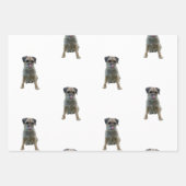 Papier d'emballage Bordure Terrier (Devant 3)