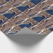 Papier d'emballage cadeau d'éléphant africain (Coin)