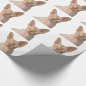 Papier d'emballage cadeau pour chat Sphynx (Coin)