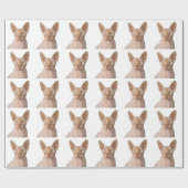 Papier d'emballage cadeau pour chat Sphynx (Plat)