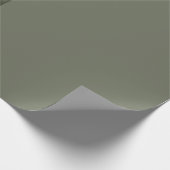 Papier d'emballage cadeau vert mousse minimal – Pe (Coin)