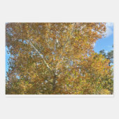 Papier d'emballage d'arbre (Devant 2)