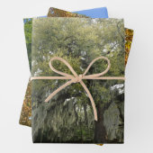 Papier d'emballage d'arbre (En situation)